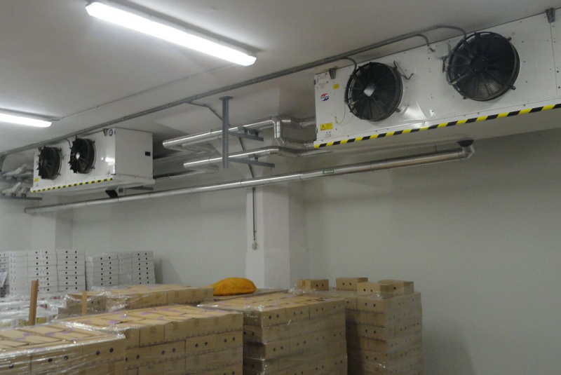 Referencie / Ryba ZA - foto