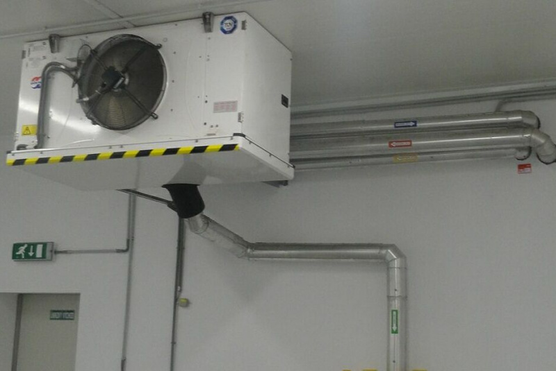 Referencie / Ryba ZA - foto