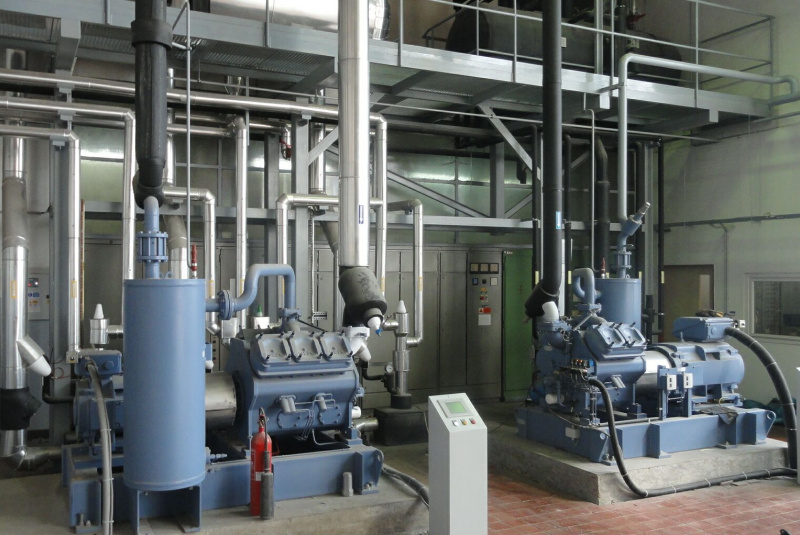 Referencie / Ryba ZA - foto