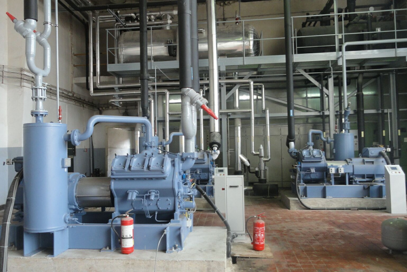 Referencie / Ryba ZA - foto